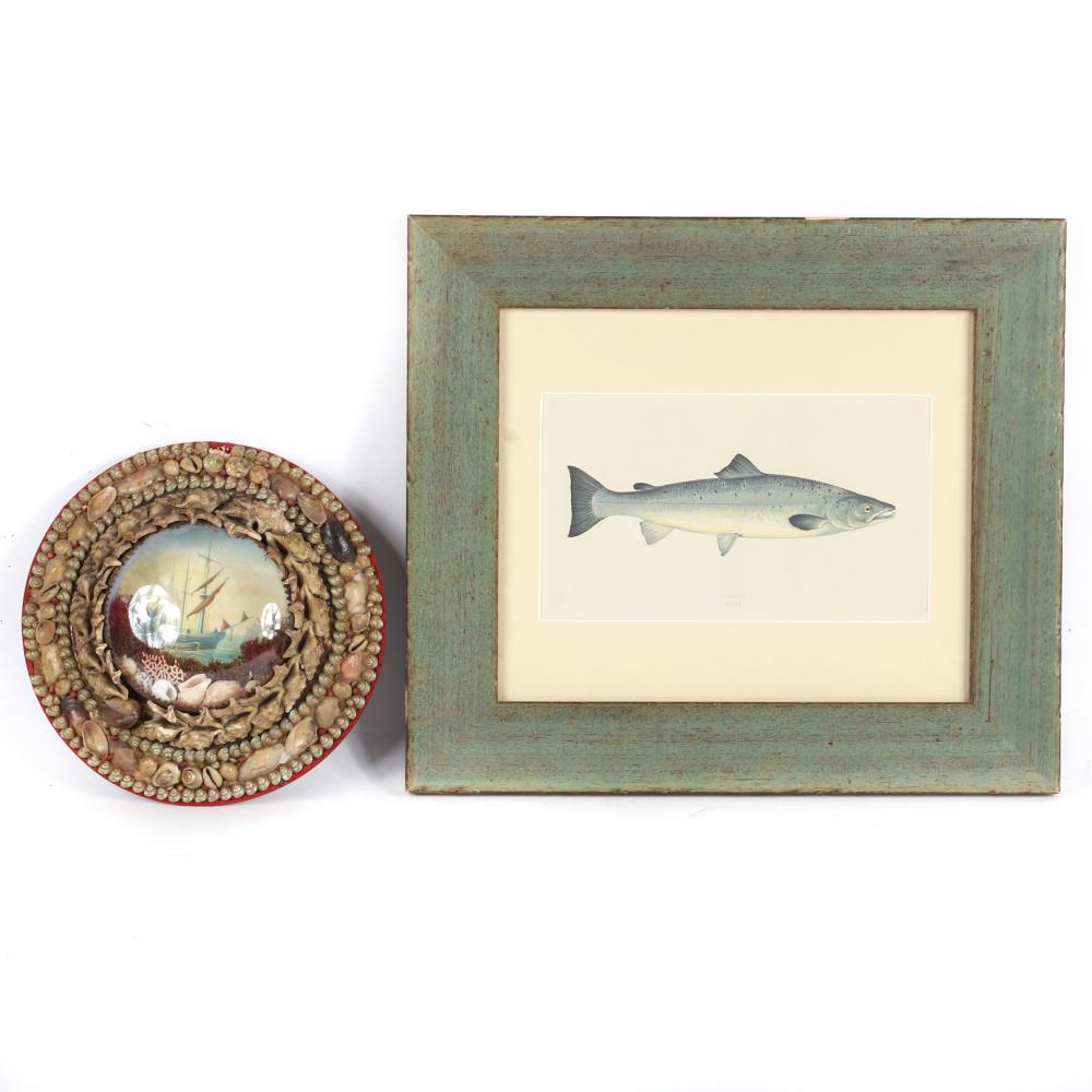 EDWARD DONOVAN, 1802, FRAMED SALMON