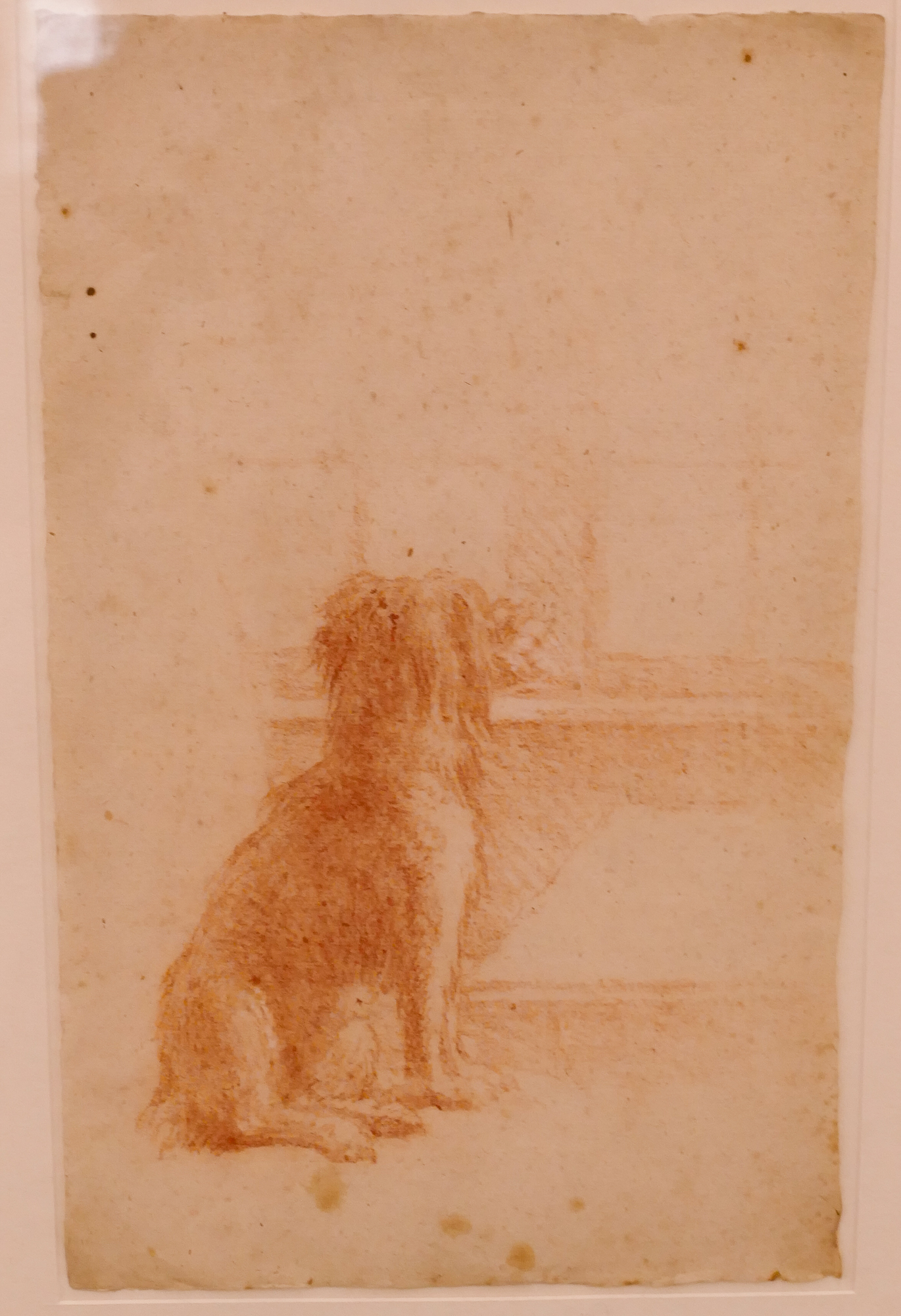 European 17th Century Dog Conte 2d9f03