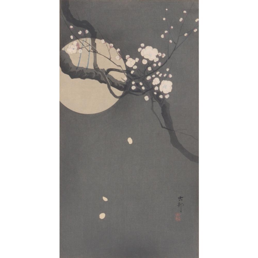 SUZUKI KASON, JAPAN (1860-1919), CHERRY