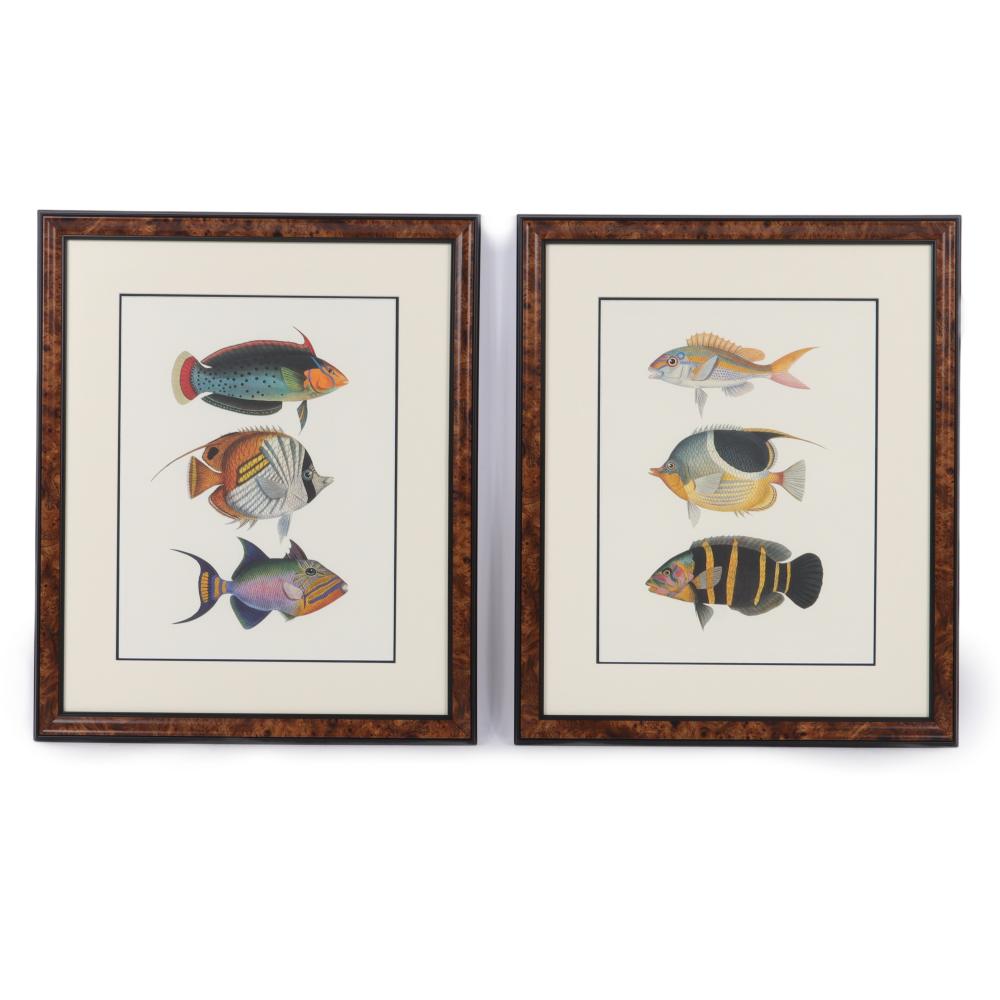 TWO FRAMED CHROMOLITHOGRAPH PLATES 2d7cce