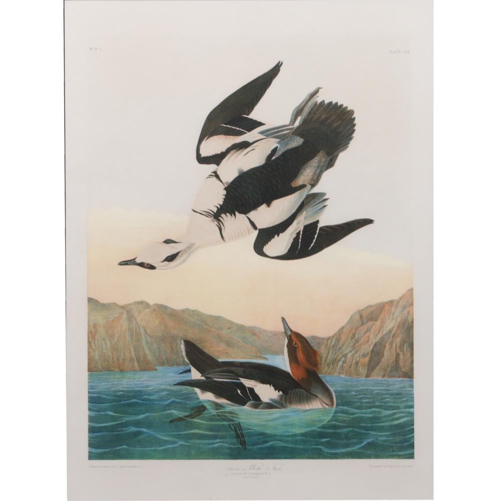 JOHN JAMES AUDUBON BIRDS OF AMERICA 2d7ccf