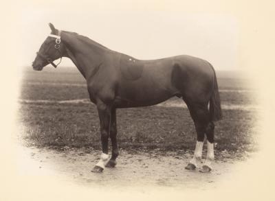 A Victorian and later photograph