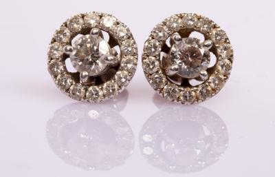 A pair of diamond halo cluster