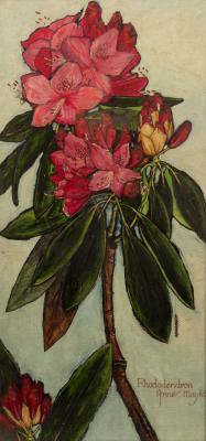 20th Century English School Rhododendron inscribed 2dc01b