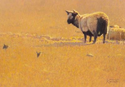 Karl Taylor born 1964 Sheep and 2dc036