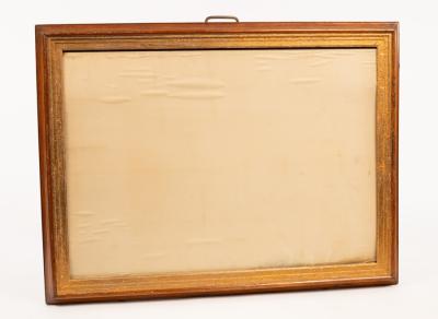 A wall hanging specimen display case,