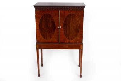 An Edwardian collectors cabinet
