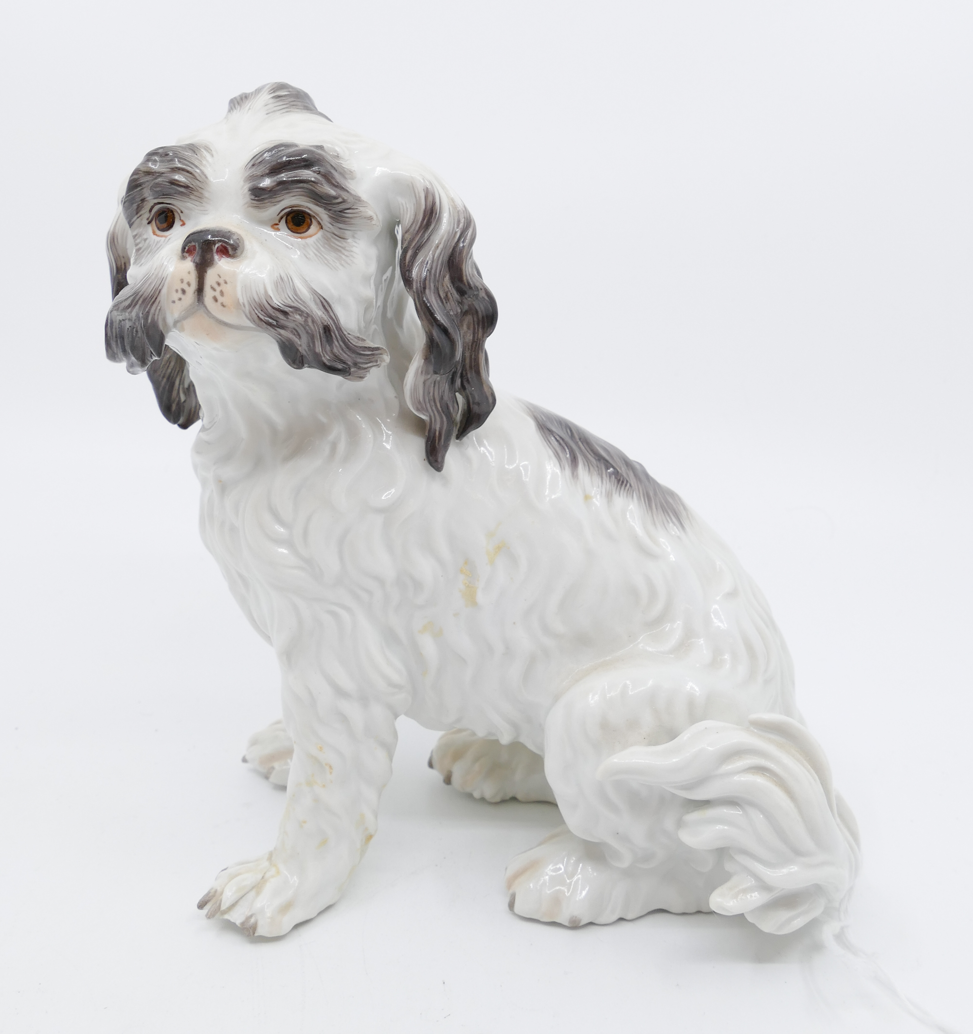 Meissen Bolognese Spaniel Porcelain