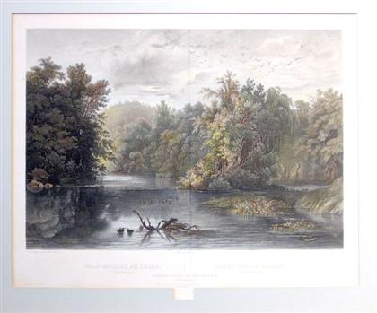 1 piece Hand Colored Engraving  496ac