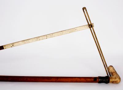 An Edwardian walking stick with 2de2c2