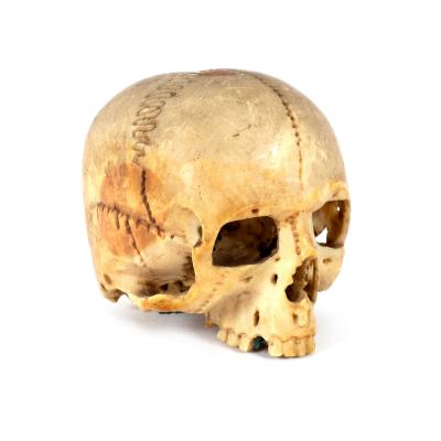 An ivory skull, probably English