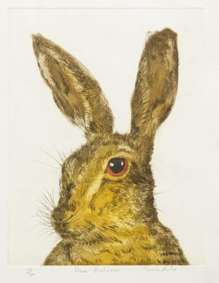 Sonia Rollo British Contemporary Hare 2de4e9