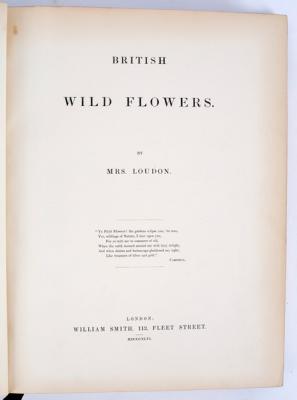 Loudon Mrs Jane British Wild 2de5f4