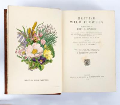 Sowerby J E British Wild Flowers  2de5ee