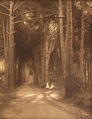 An early 20th Century American sepia