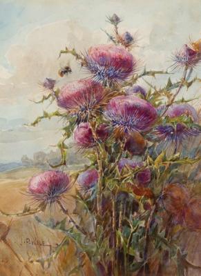 John Porter Wale British 1860 1920 Flower 2de822