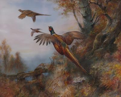 William E Powell (1878-1955)/Pheasant/Black