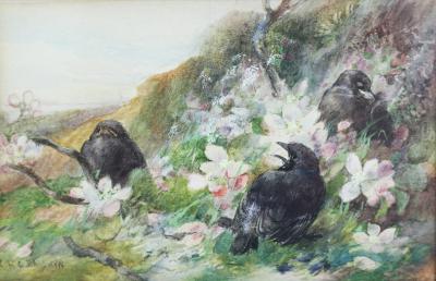 Charles H C Baldwyn (1859-1943)/Rooks