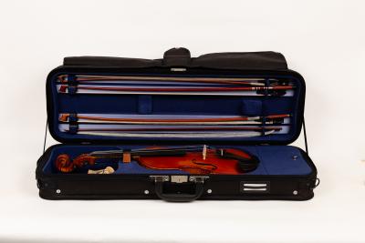 A violin by Sandu Stroe, dated