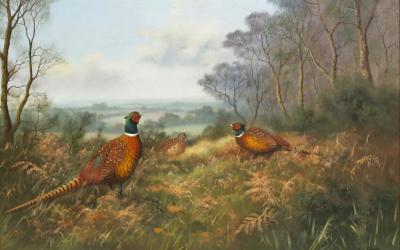 W Reeve Contemporary Pheasant 2dcf1d