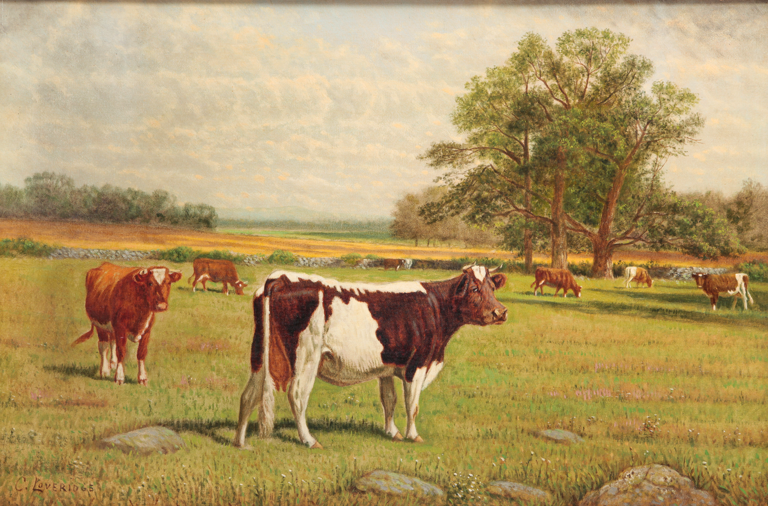CATTLE BY CLIFTON LOVERIDGE. New