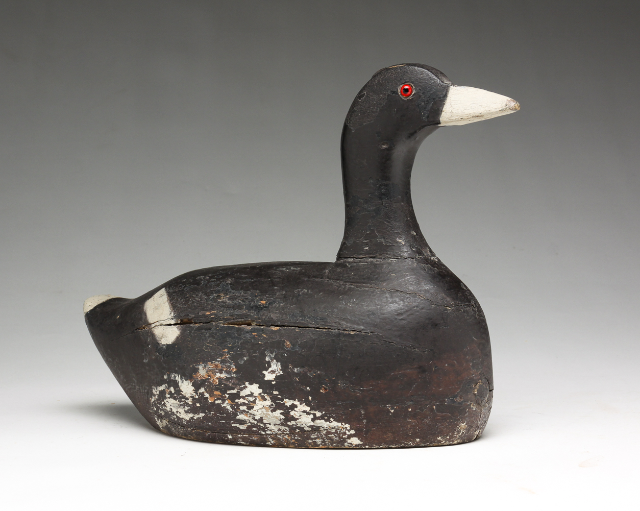 AMERICAN COOT DECOY Late tag notes 2dffde
