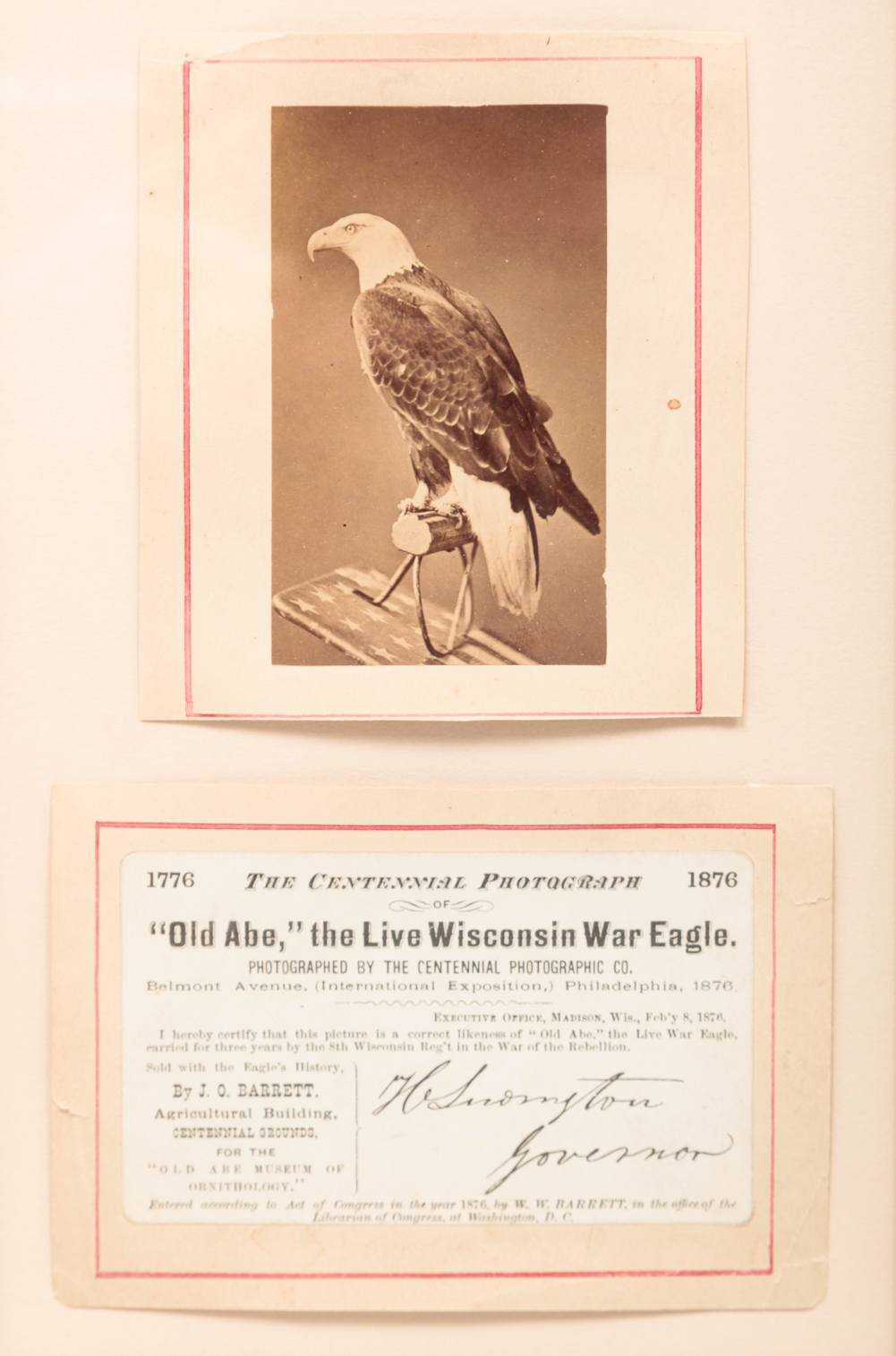 CDV OF EAGLE MASCOT OLD ABE  2e001f