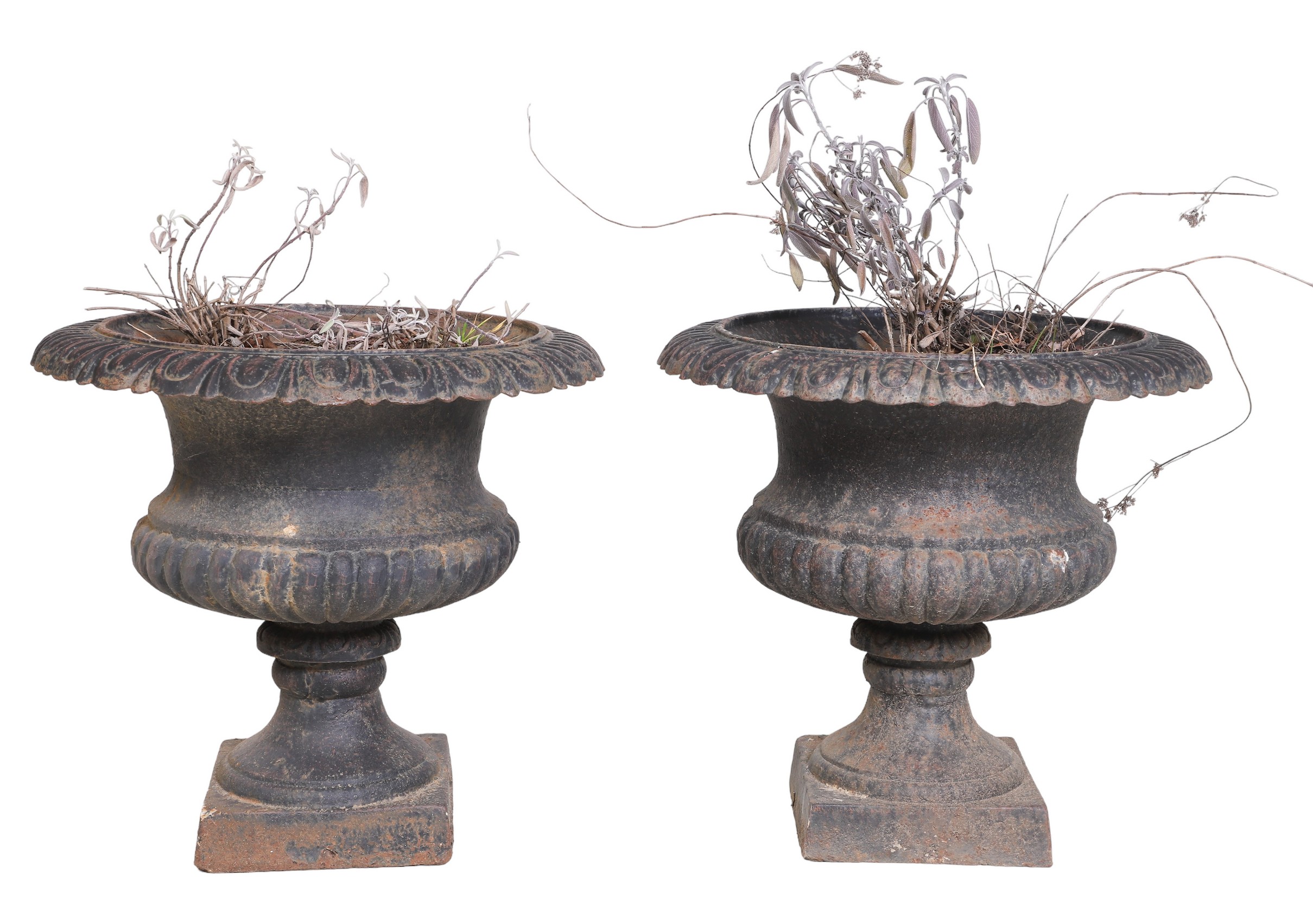 Pair Ebonized metal urn form planters,