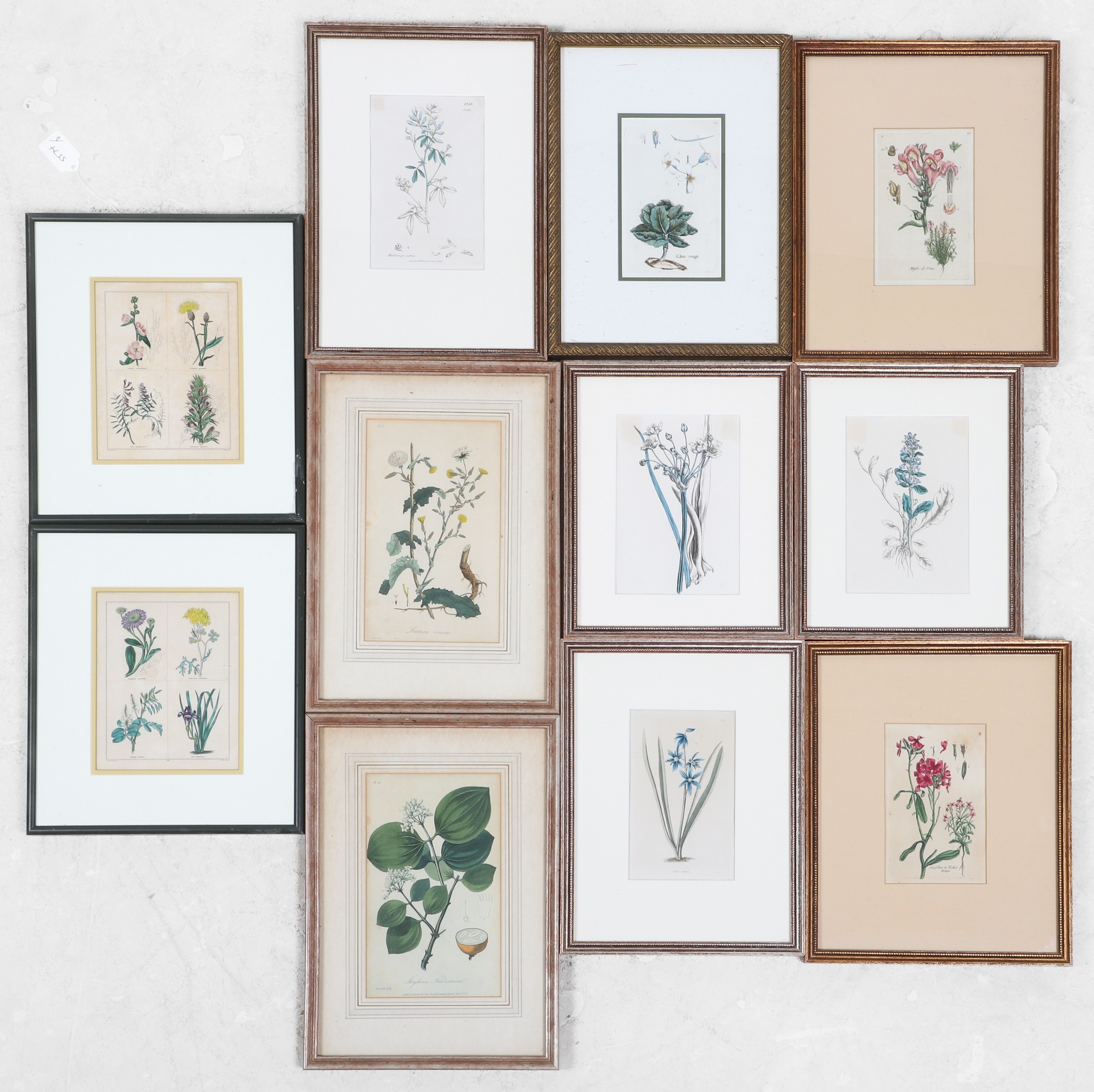 (11) Hand Colored Botanical Prints,
