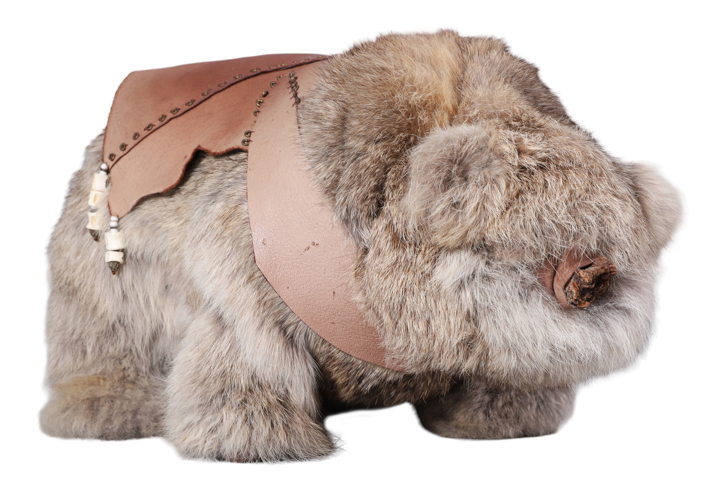 Genuine fur bear, wearing leather &