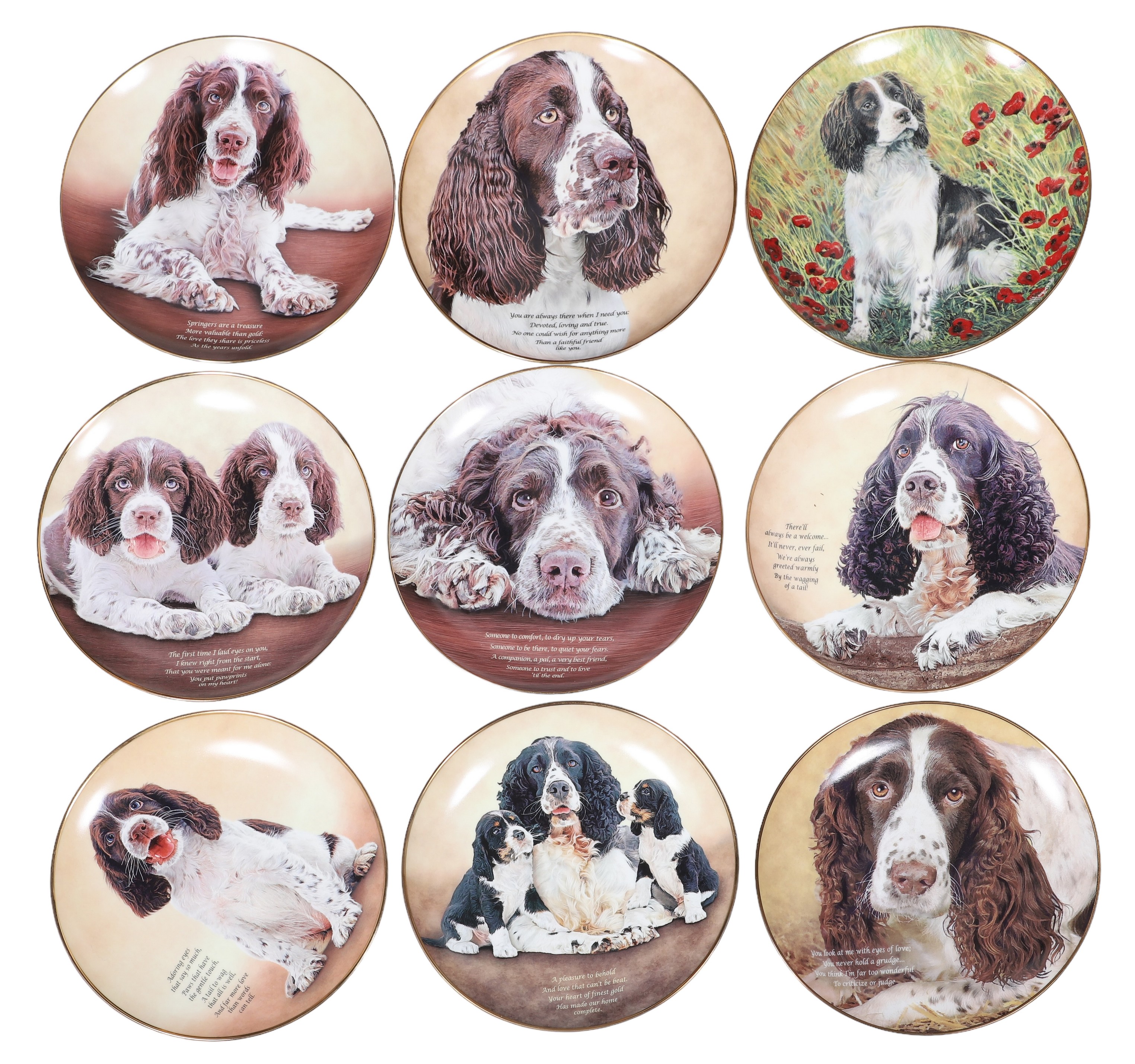 (9) Danbury Mint porcelain dog