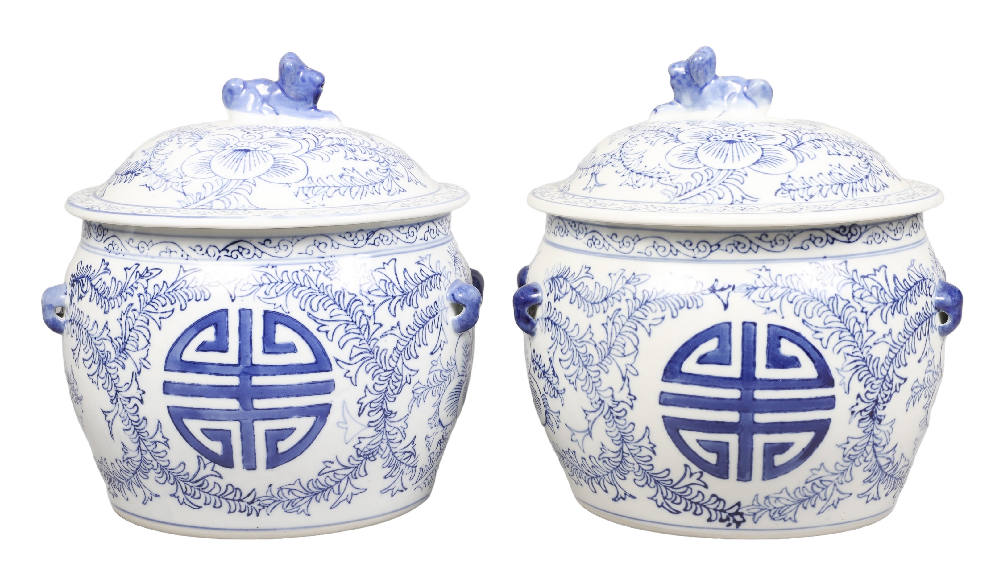 Pair of Chinese blue & white porcelain