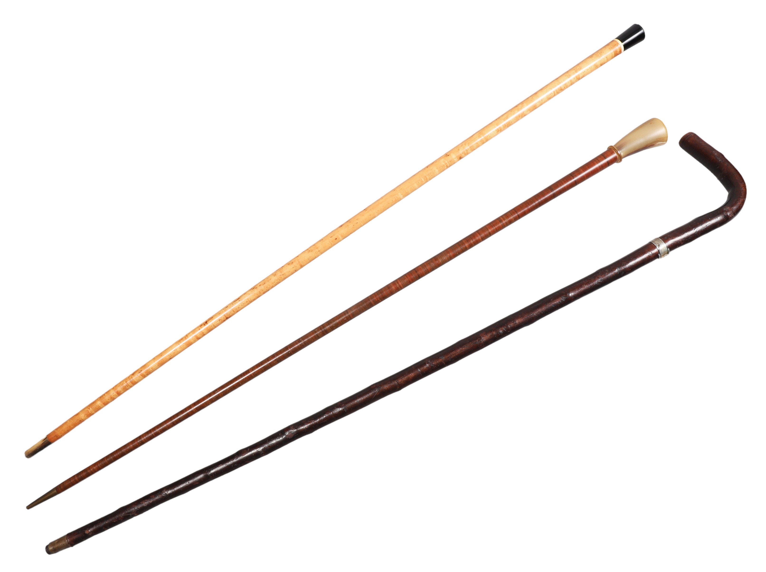 (3) Cane walking sticks, c/o twig