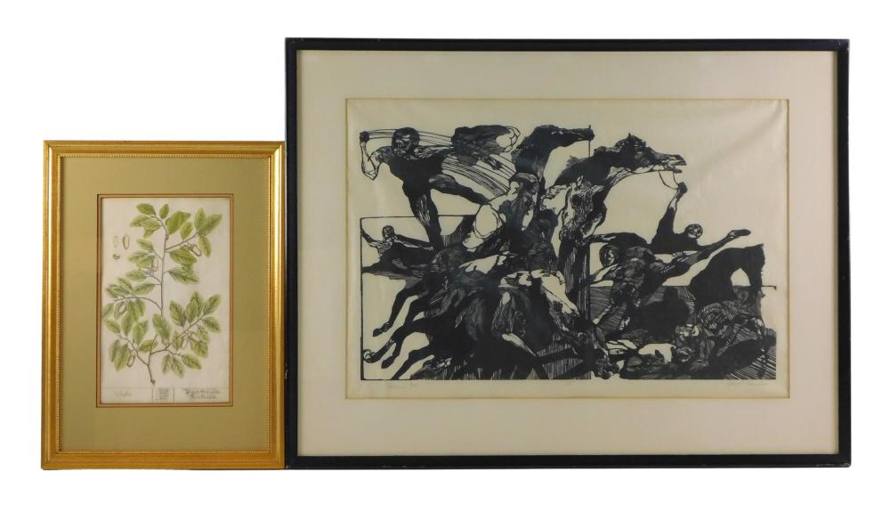 19TH C BOTANICAL PRINT AND WOODCUT 2defcd