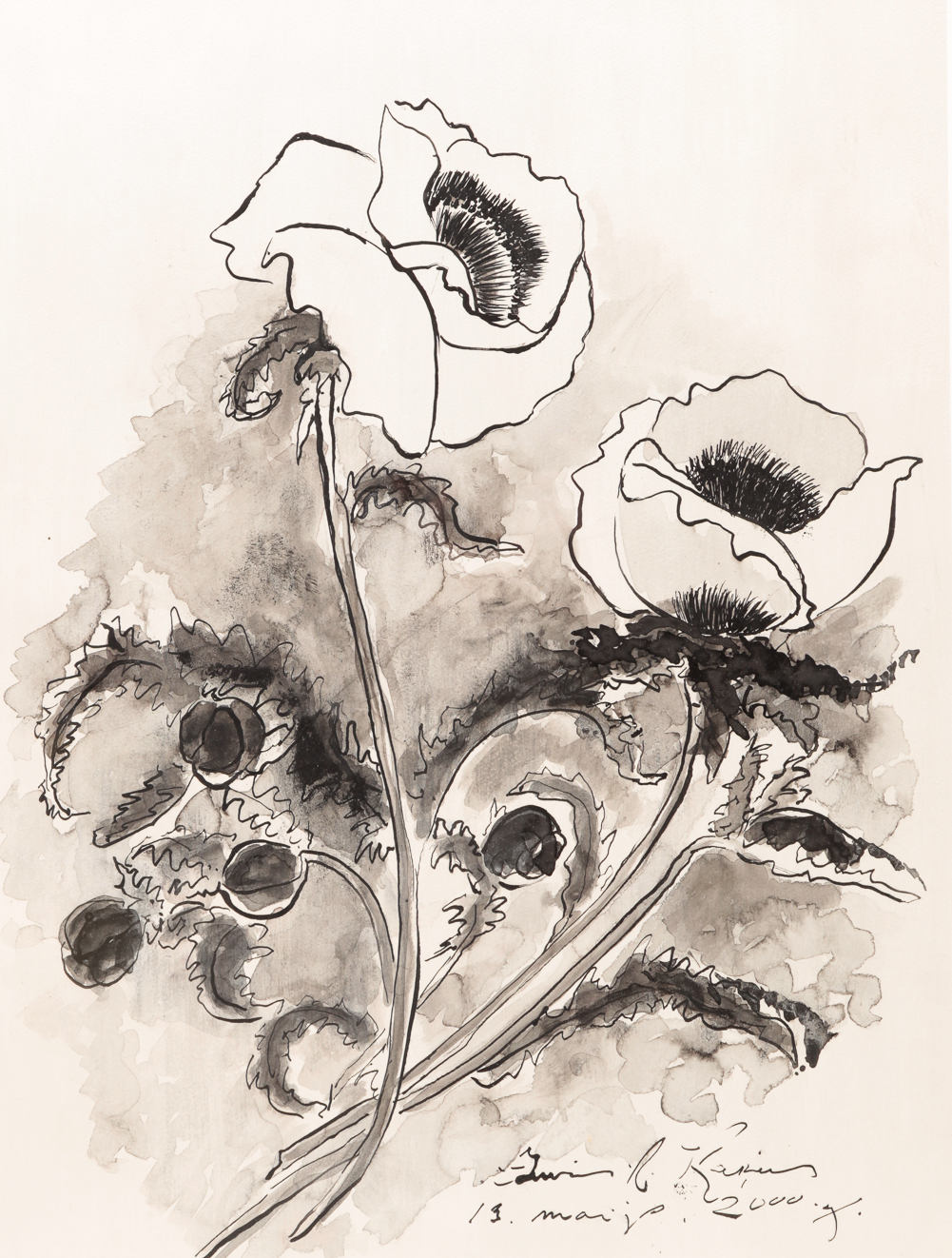 EUROPEAN DRAWING OF POPPIES Probably 2dfa87