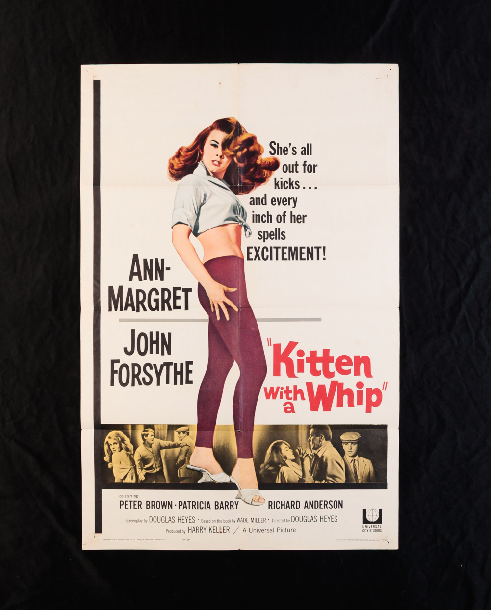 KITTEN WITH A WHIP UNIVERSAL  2dfb12