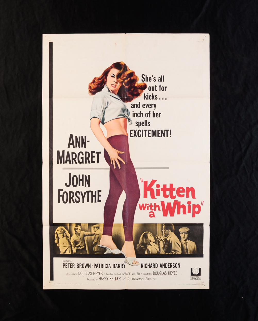 KITTEN WITH A WHIP (UNIVERSAL,