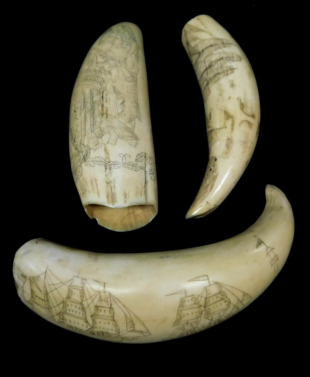 +SCRIMSHAW: THREE DECORATED WHALES