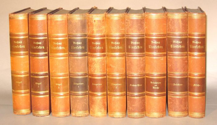 10 vols Brehm Alfred Brehms 49dff