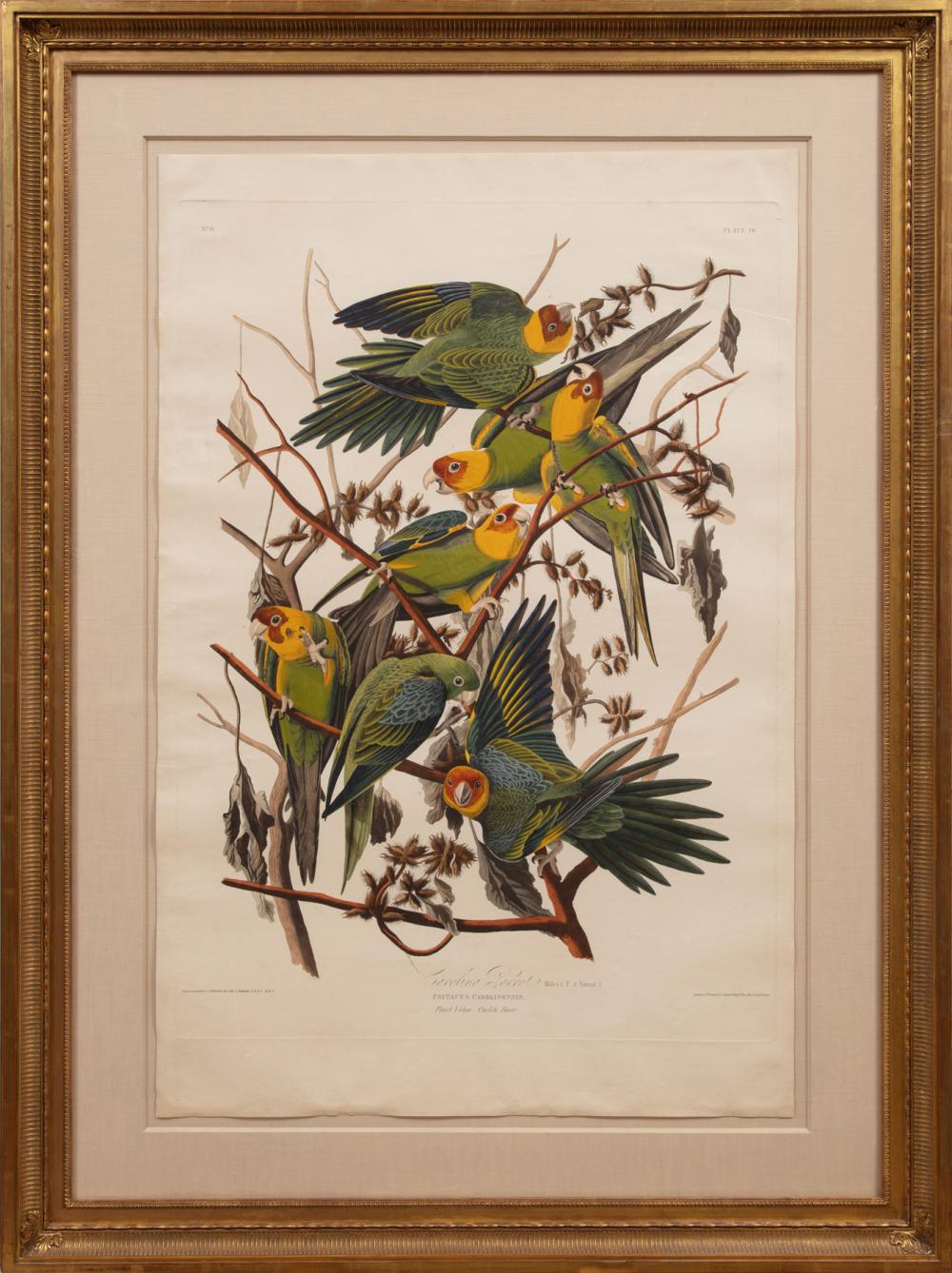 JOHN JAMES AUDUBON AMERICAN 1785 1851 John 2e3372