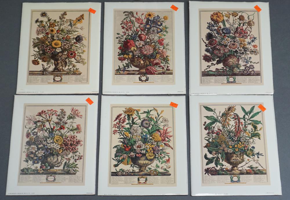 COLLECTION OF BOTANICAL PRINTS 2e60a1