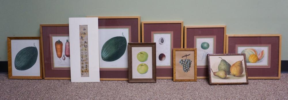 COLLECTION OF FRAMED FRUIT PRINTSCollection