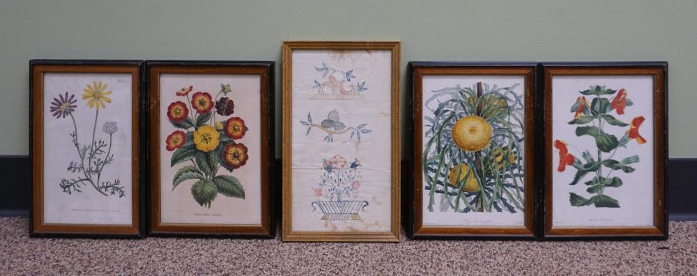 COLLECTION OF BOTANICAL PRINTS