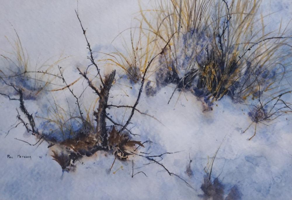 PHIL METZGER, WINTER CLEARING,