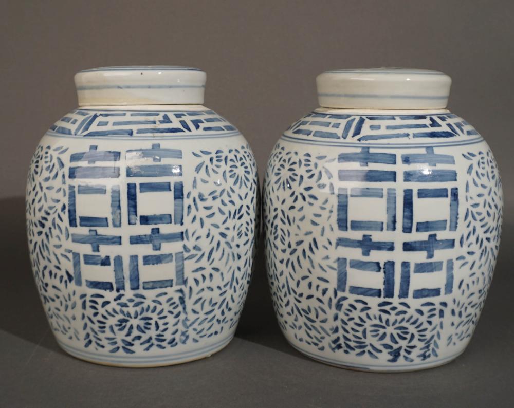 PAIR CHINESE BLUE AND WHITE PORCELAIN