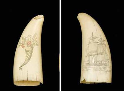Scrimshaw decorated whales tooth 4a5fe