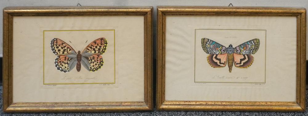 TWO HAND-COLORED BUTTERFLY ETCHINGS,