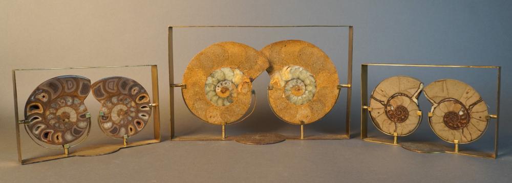 THREE PAIRS AMMONITES MOUNTED ON