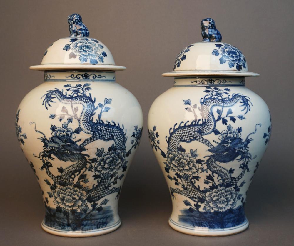 PAIR OF CHINESE BLUE AND WHITE 2e890e