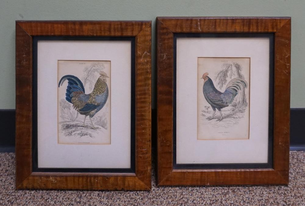 TWO CONTINENTAL ROOSTER PRINTS  2e631b